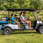 Family driving cart bear pond.