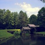 Cabin off water in woods.