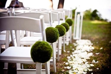 Wedding chairs on grass.