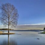 Lake with tree during winter.