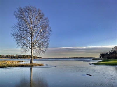 Lake with tree during winter.