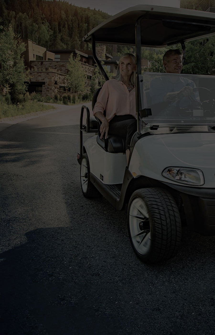20+ Golf Cart Rental Greenville Sc