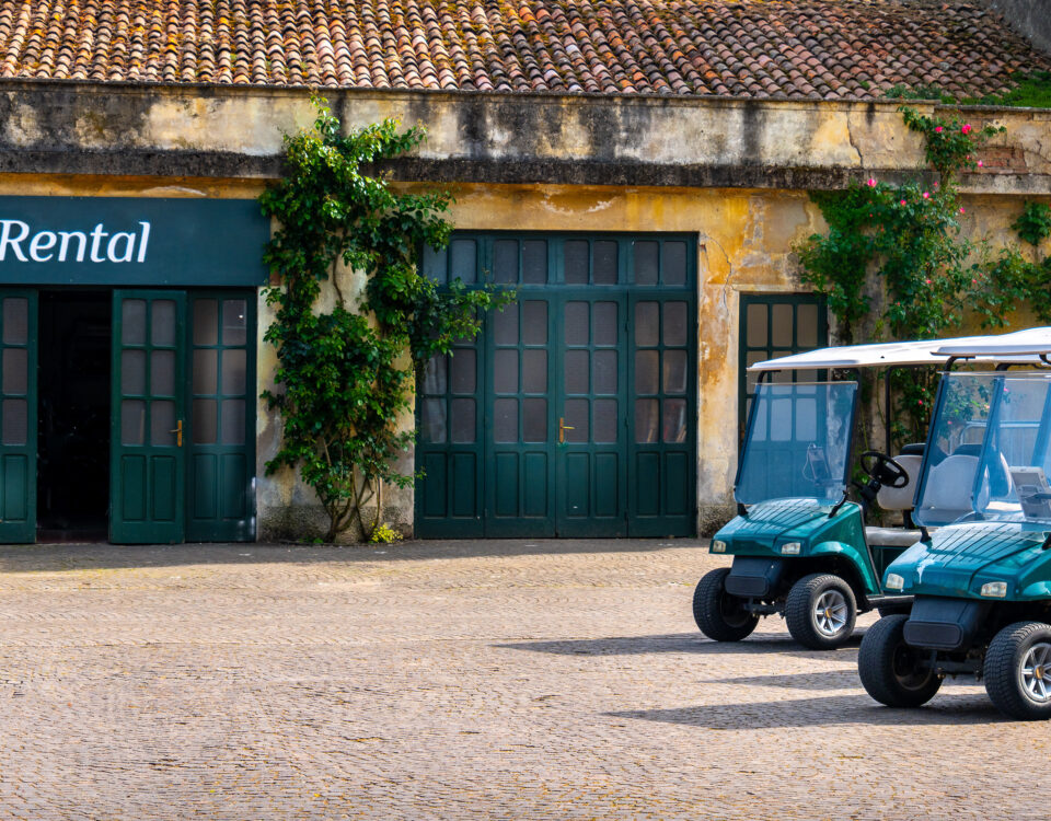 golf cart buggy rental parking